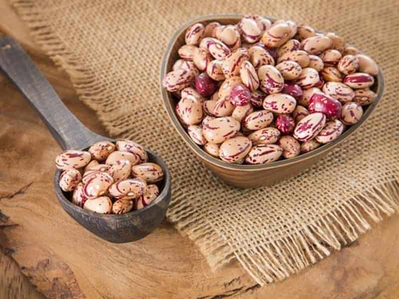 فروش لوبیا چیتی سفید + قیمت خرید به صرفه